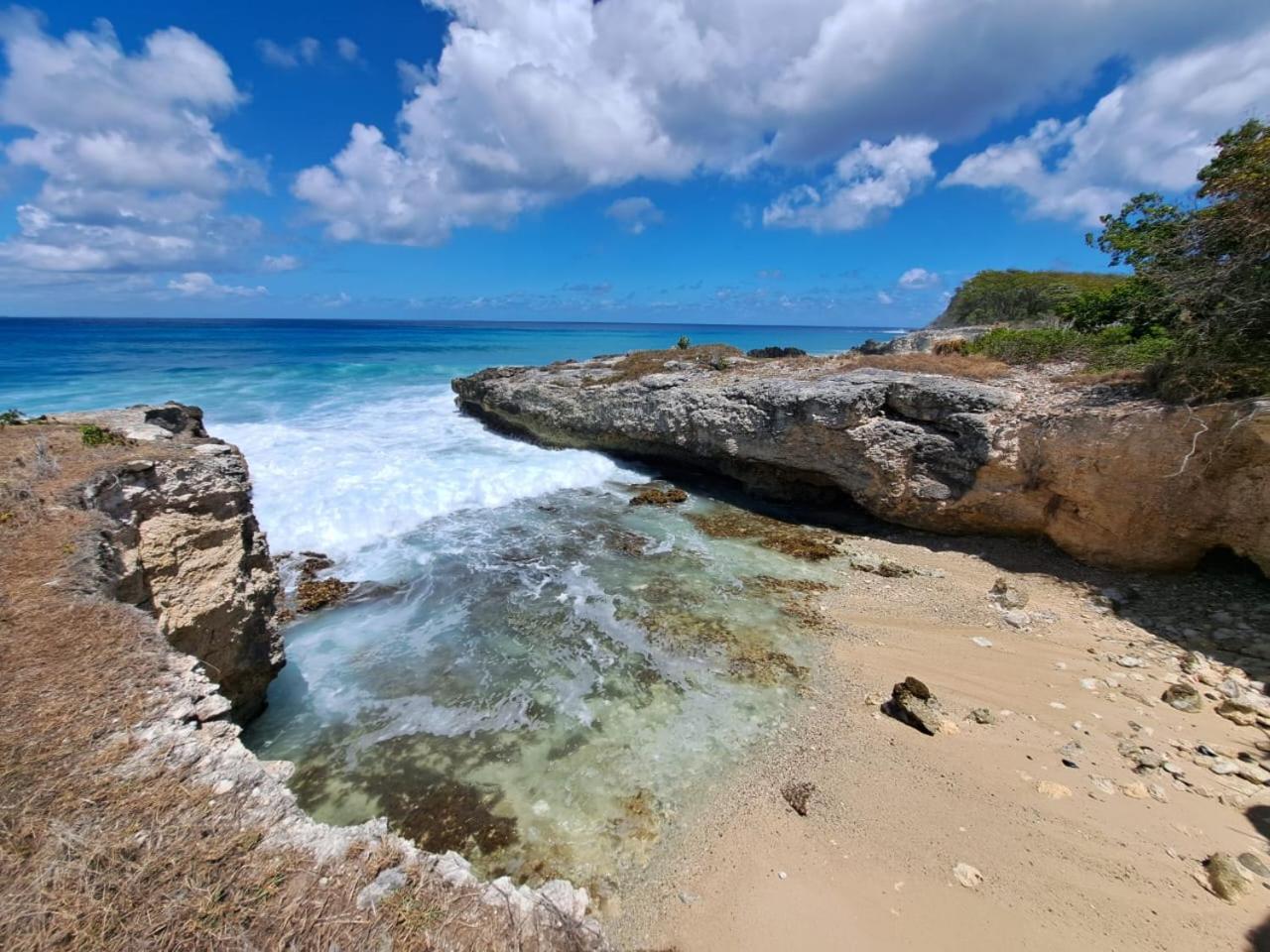 Grand Studio Les Pieds Dans L'Eau, Centre Ville Le Gosier  Εξωτερικό φωτογραφία